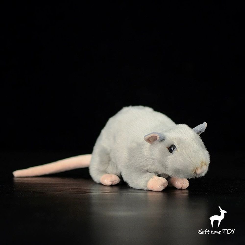 회색 A. 송장이 없고이 옵션을 취하고주의 깊게 메, A. 코부터 엉덩이까지 길이 17cm - 상세 이미지 2