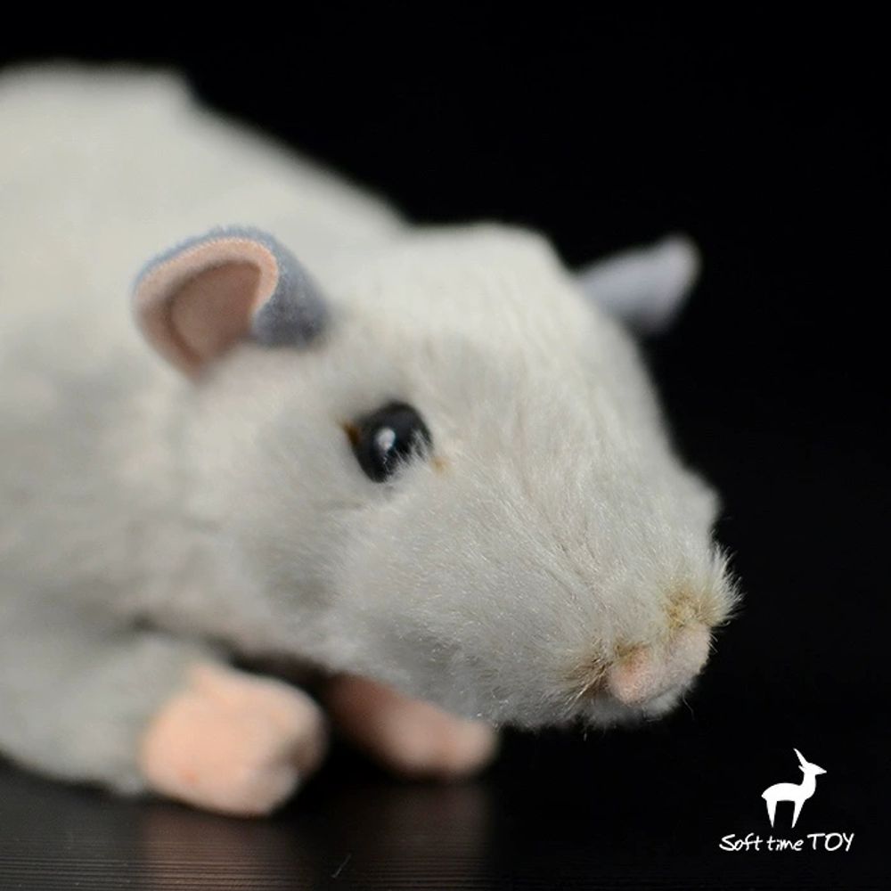 회색 A. 송장이 없고이 옵션을 취하고주의 깊게 메, A. 코부터 엉덩이까지 길이 17cm - 상세 이미지 4