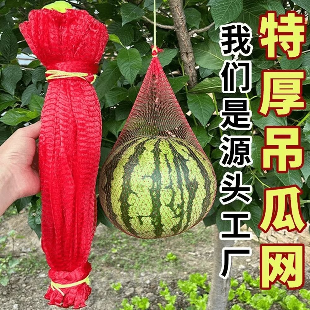 수박망 애플수박 멜론 보호망 호박 빨간색 이하 A. 로프가 들어간 굵은 면35cm100개 - 상세 이미지 2