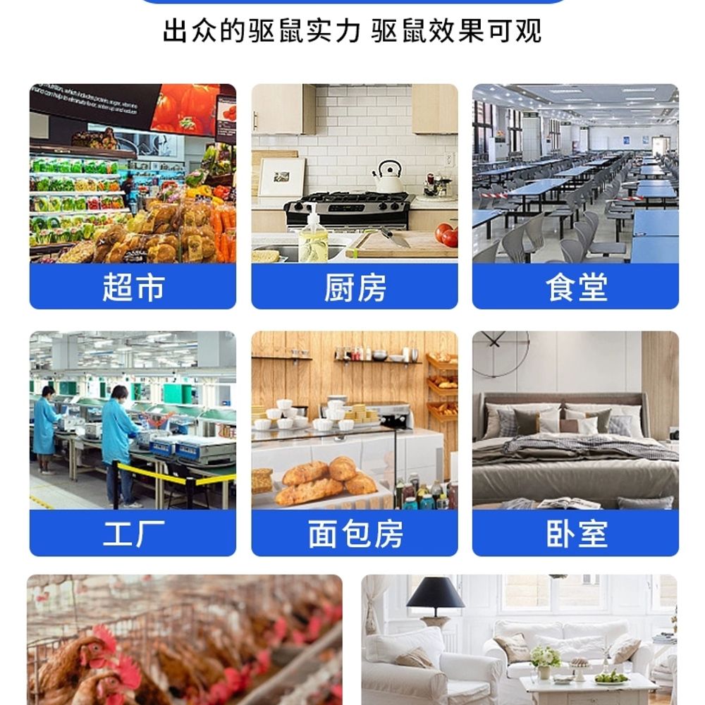 쥐 퇴치 기계 초음파 곡식 퇴치기계 농막 잡 A. 티몰 익일배송 우선배송즉시배송으로 빠르게 - 상세 이미지 5