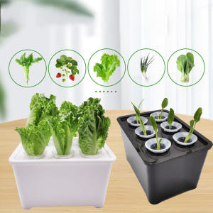 홈가드닝 플랜트박스 텃밭화분 저면관수 트레이 삽목판 수경재배 키트 육묘 ... 실사용 후기 | 효과 있을까? - 상품 이미지 1