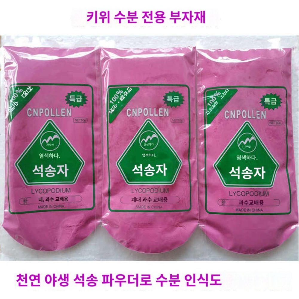 꽃가루 인공수분가루 과일인공수정 키위 교배용 석송자 A. 일반 석송분말50g - 상품 이미지
