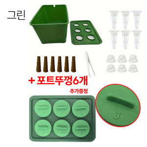홈가드닝 플랜트박스 텃밭화분 저면관수 트레이 삽목판 수경재배 키트 육묘 ... 실사용 후기 | 효과 있을까? - 상품 이미지 4