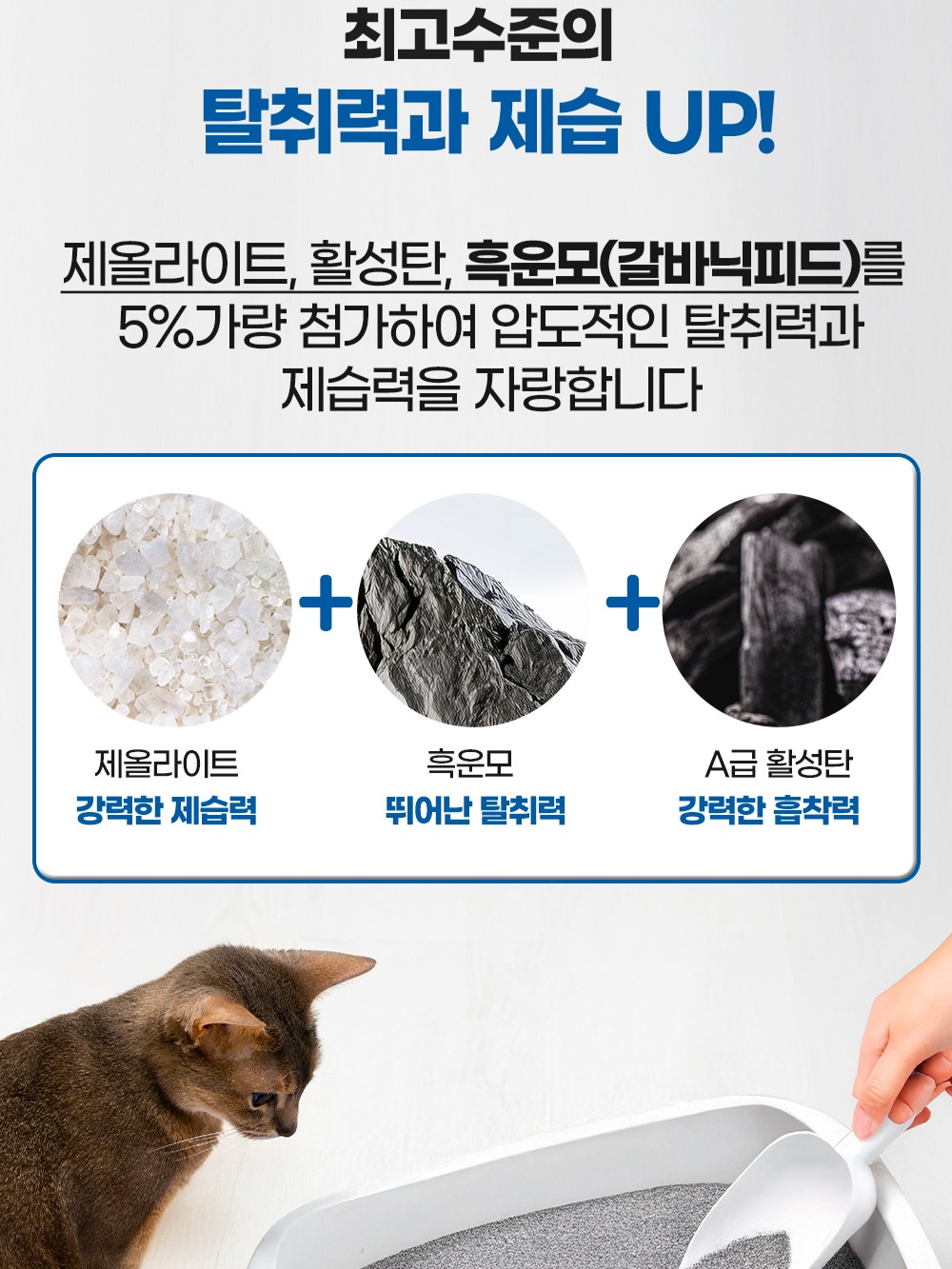누터스가든 먼지없는 고양이모래 프리미엄 제로더스트 천연 벤토나이트 모래 6kg, 1개 - 상세 이미지 5