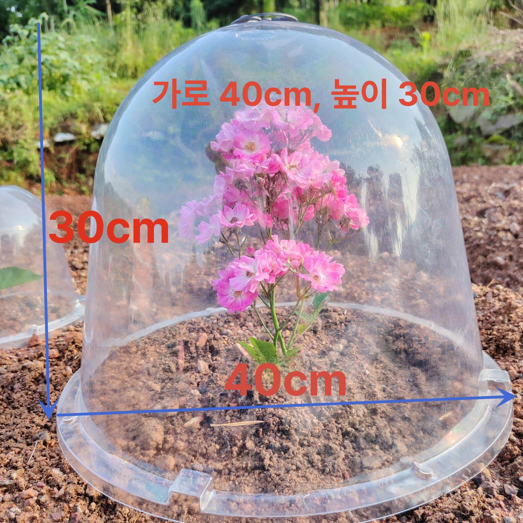 보호 커버 식물 쑥쑥 접이식 덮개 꼬깔 야외 20x16 묘목 덮개 30개 - 상세 이미지 3