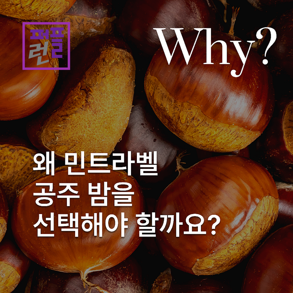 공주 밤 라떼 파우더 민트라벨 800g x 2ea - 상세 이미지 5