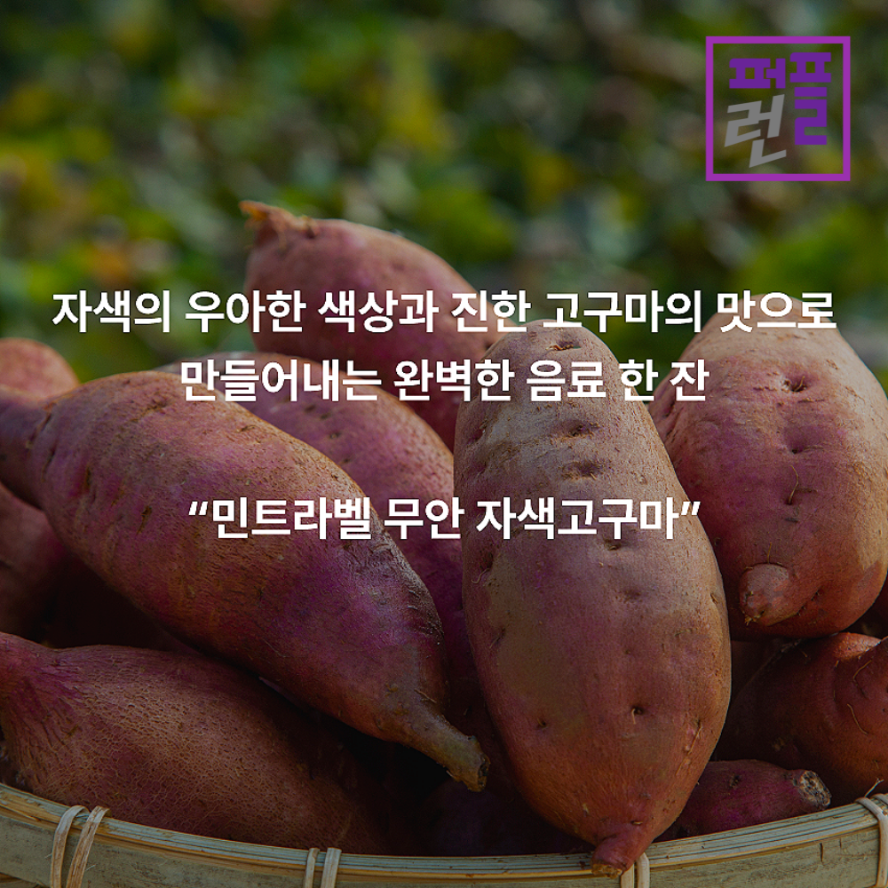 무안 자색고구마 라떼 파우더 민트라벨 800g x 2ea - 상세 이미지 5