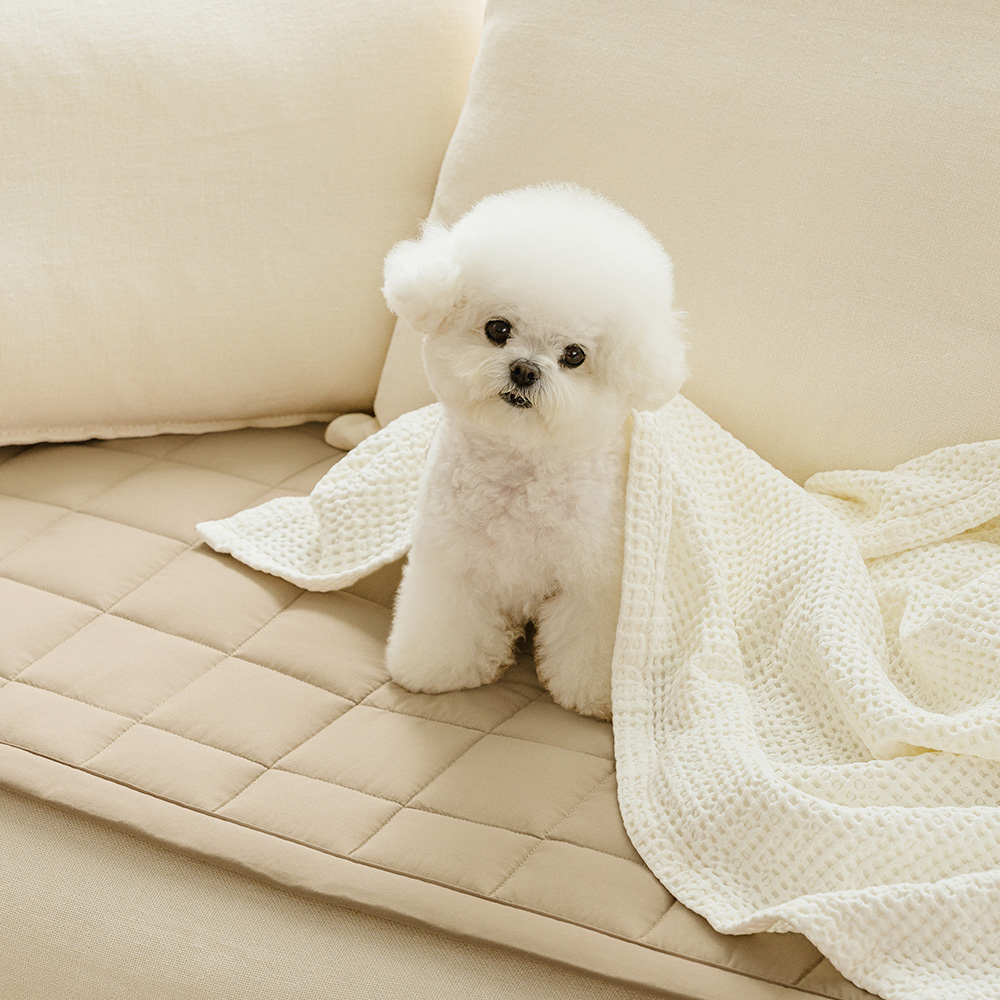 바자르 몽실몽실 먼지없는 진드기방지 소파패드 고밀착 슈퍼 논슬립 반려동물 쇼파패드 2인용
