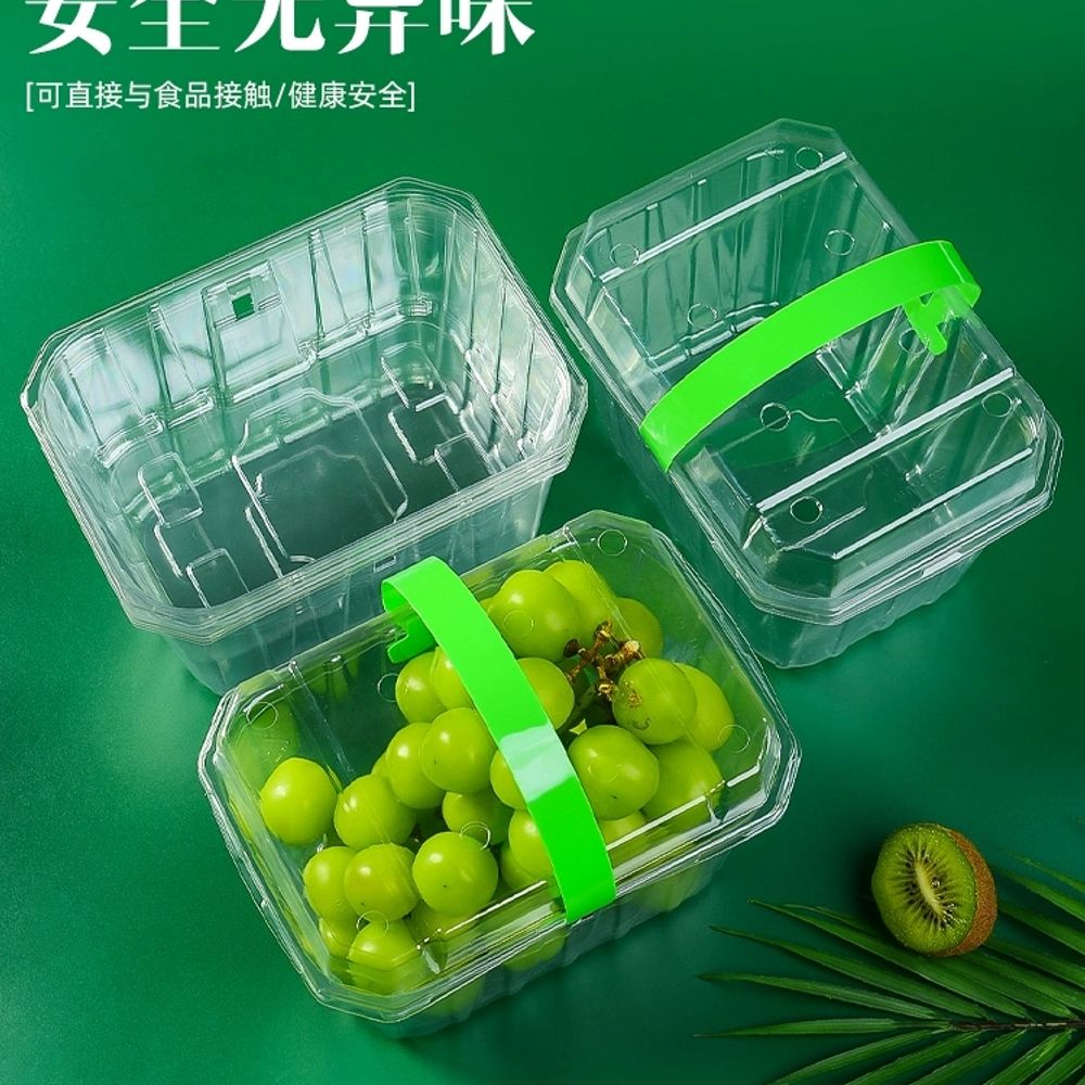 과일 포장 용기 블루베리 세트 200개 바구 A. 약 2 3 Catties Pack 하단 - 상세 이미지 5