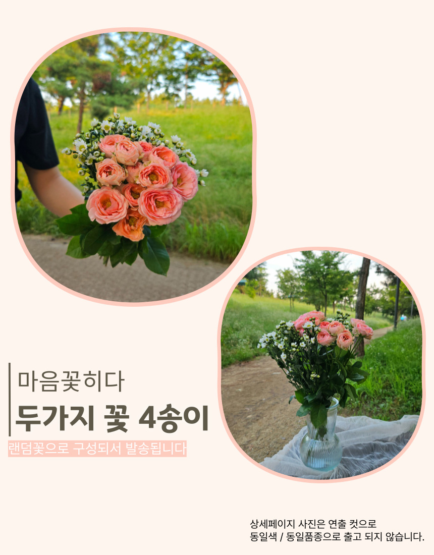 마음꽃히다 꽃만 담은 생화 꽃다발 두가지 세가지 구성 생일 기념일 꽃배달 - 상세 이미지 5