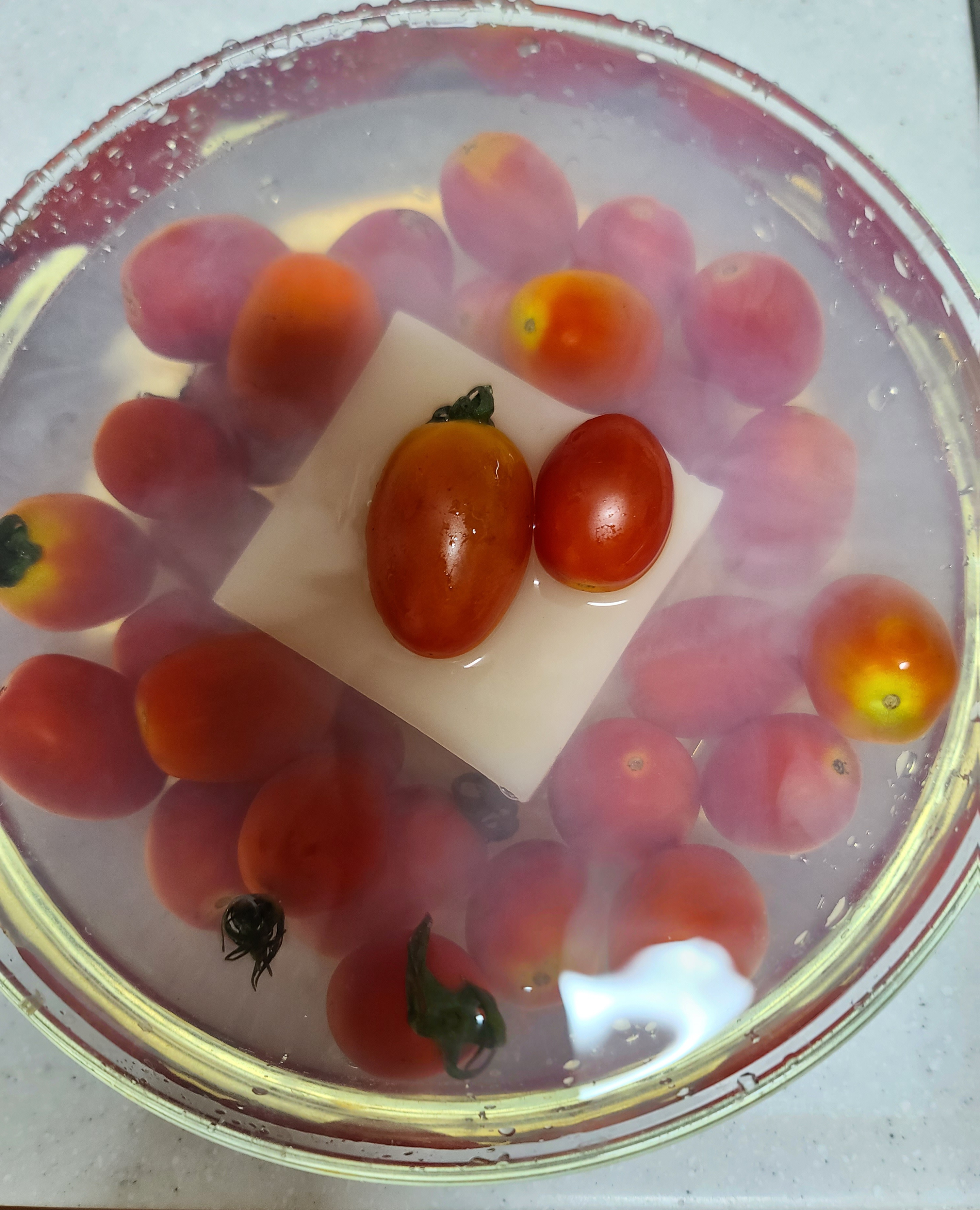선영이네 설거지비누 주방비누 주방세제 설거지바 레몬향, 200g, 10개 - 상세 이미지 3