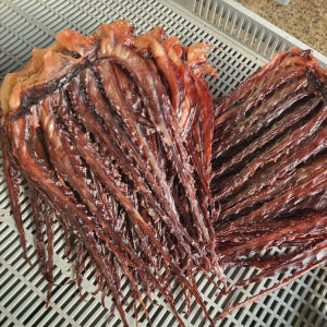 장족상회 쫀득 망족 130g 쫄깃 오징어 문어발 맛있게 먹은 솔직 후기 - 상품 이미지 1