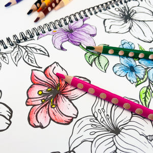 투코비 이지스타트 점보 교정 유성 색연필 12색 실사용 후기 | 효과 있을까? - 상품 이미지 4