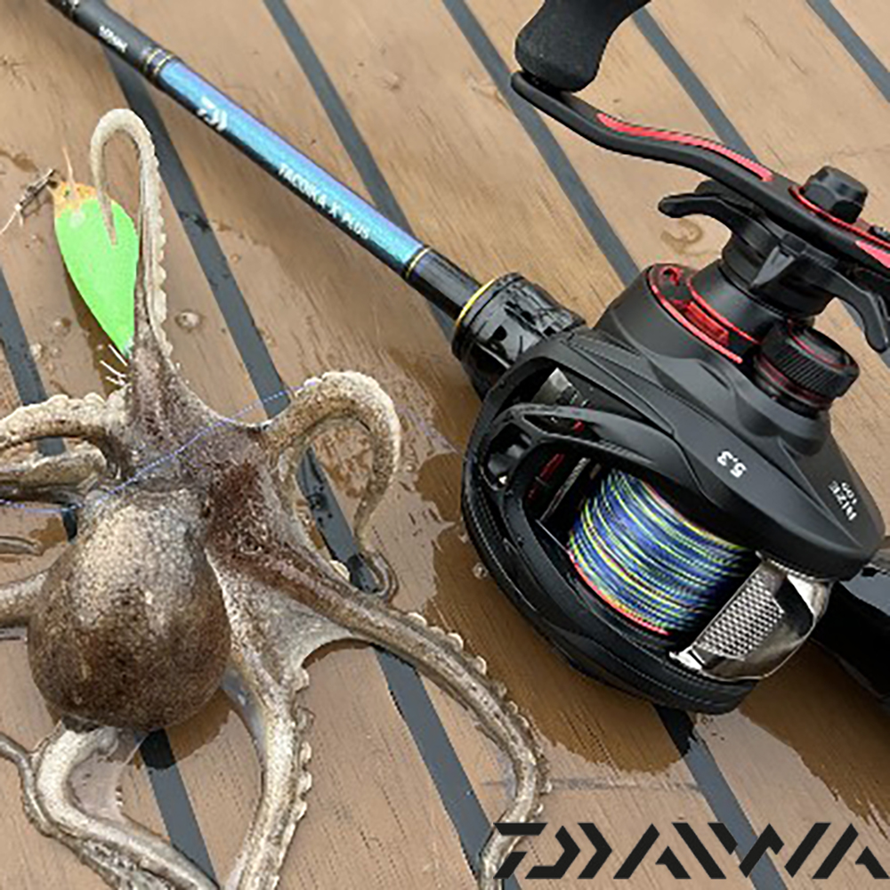 다이와 25 타코이카 X 플러스 쭈꾸미 낚시대 갑오징어 로드 쭈갑 전용 165cm H