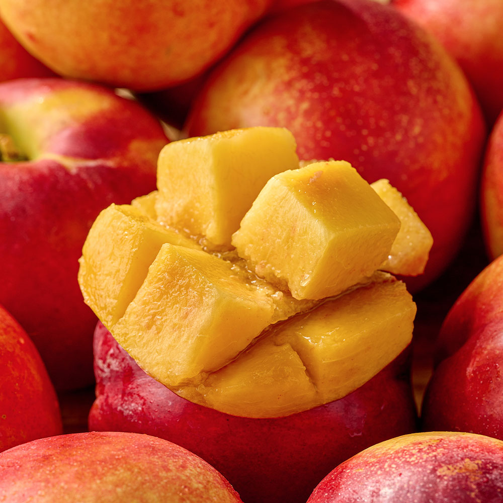 산지직송 달콤한 맛이 강한 망고복숭아 금홍 옐로우드림 가정용 선물용 프리미엄