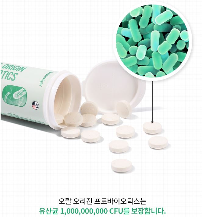 10억 구강유래유산균 포켓 잇몸유산균 츄어블 프레쉬 페퍼민트맛 자일리톨 30정, 1개 - 상세 이미지 5