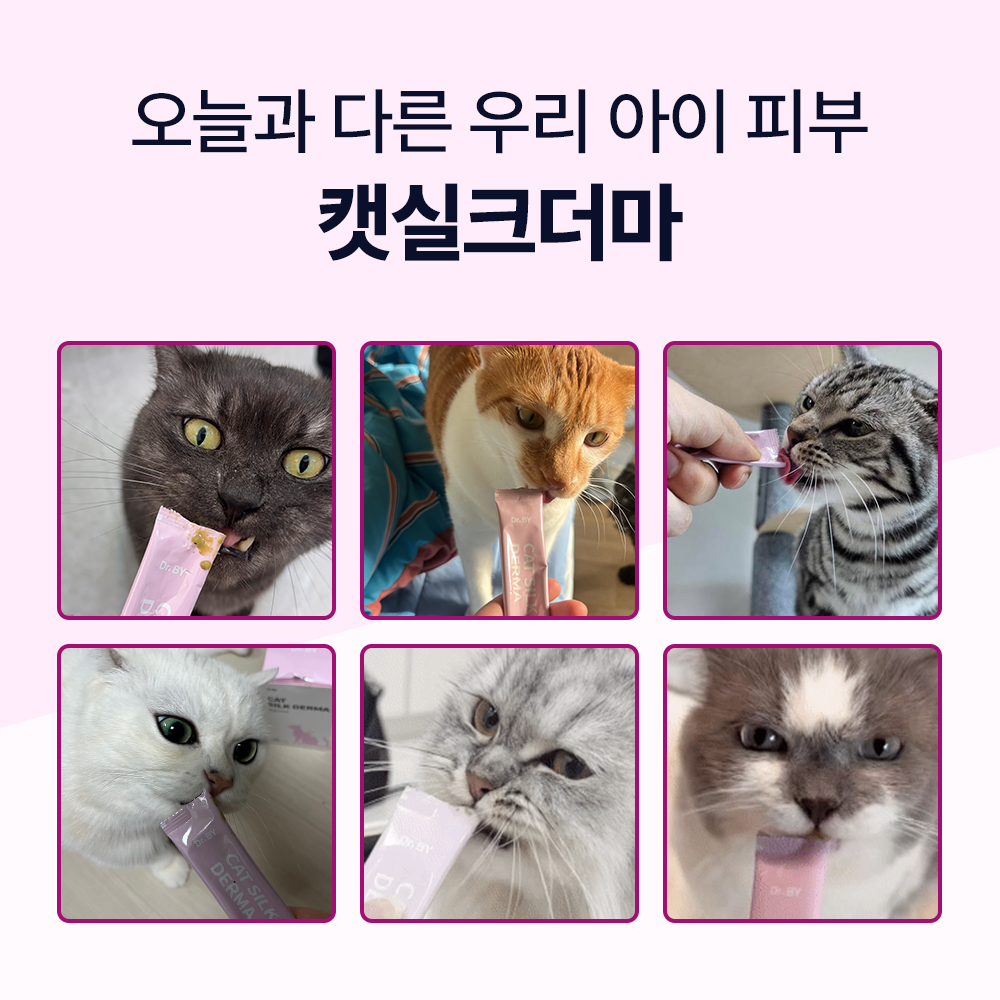 닥터바이 캣실크더마 고양이 피부 영양제 비듬 털빠짐 턱드름 관리 30포, 1개 - 상세 이미지 3