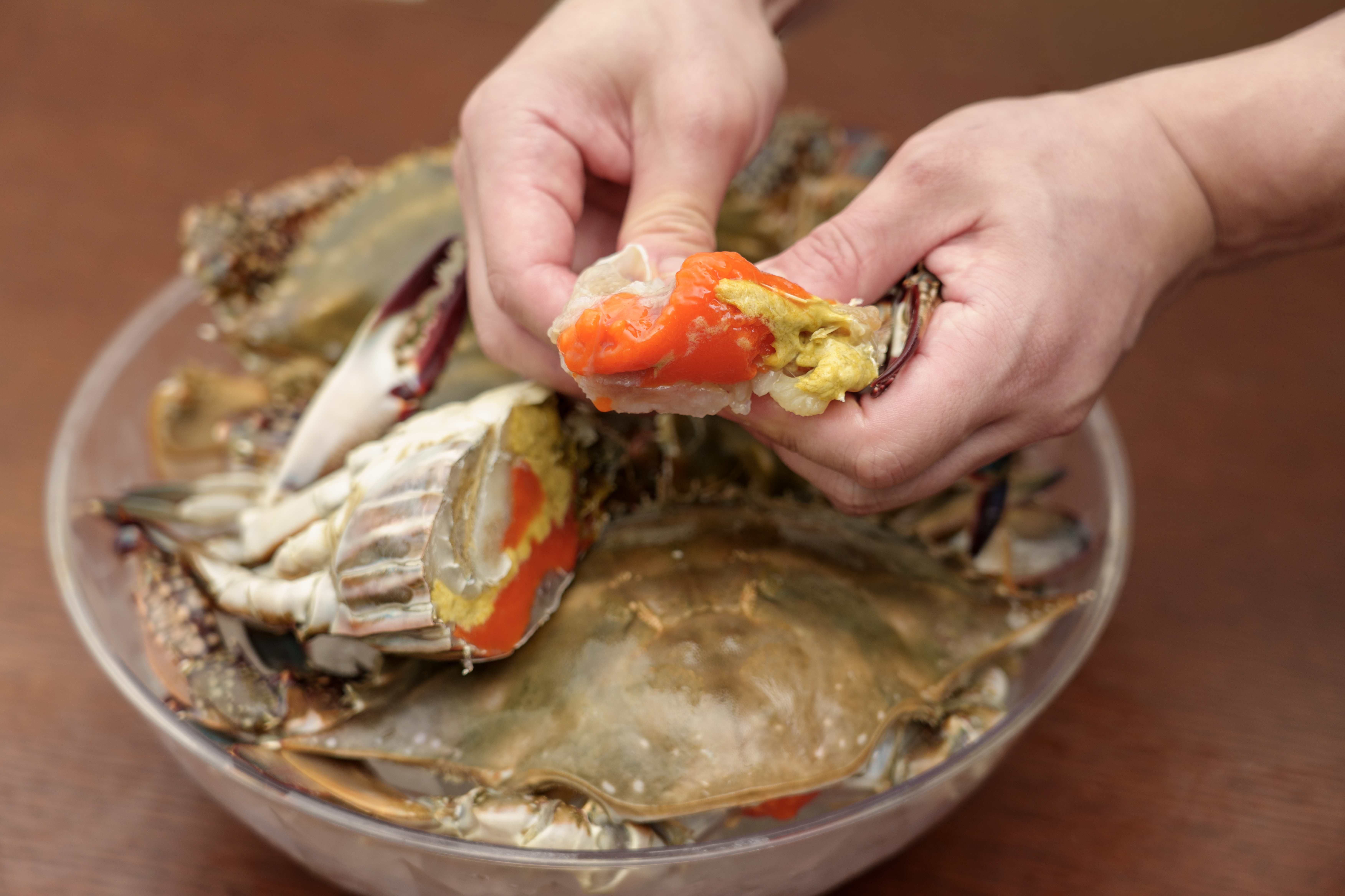 K꽃게 어부가 직접 판매하는 암꽃게 1kg 봄 급냉