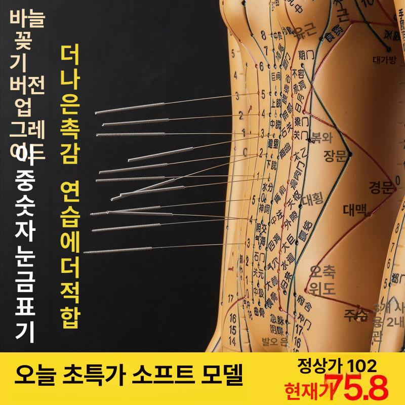 혈자리 인체모형 골격근 전신 한의학 골격 교구 동색 컬러 하드형 54cm 팔 회전 숫자 A - 상세 이미지 5