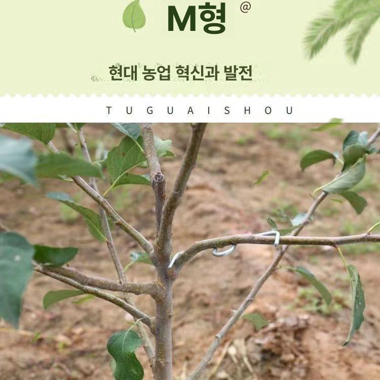 묘목 고정 클립 줄기 토마토 식물 유인 지주대 나무가지 M형 가지치기 도구 8cm 50개입 - 상세 이미지 4