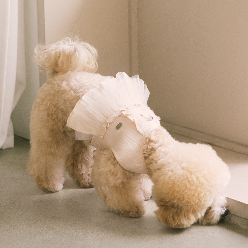 강아지 하네스 소형견 가슴줄 하네스옷 슈슈