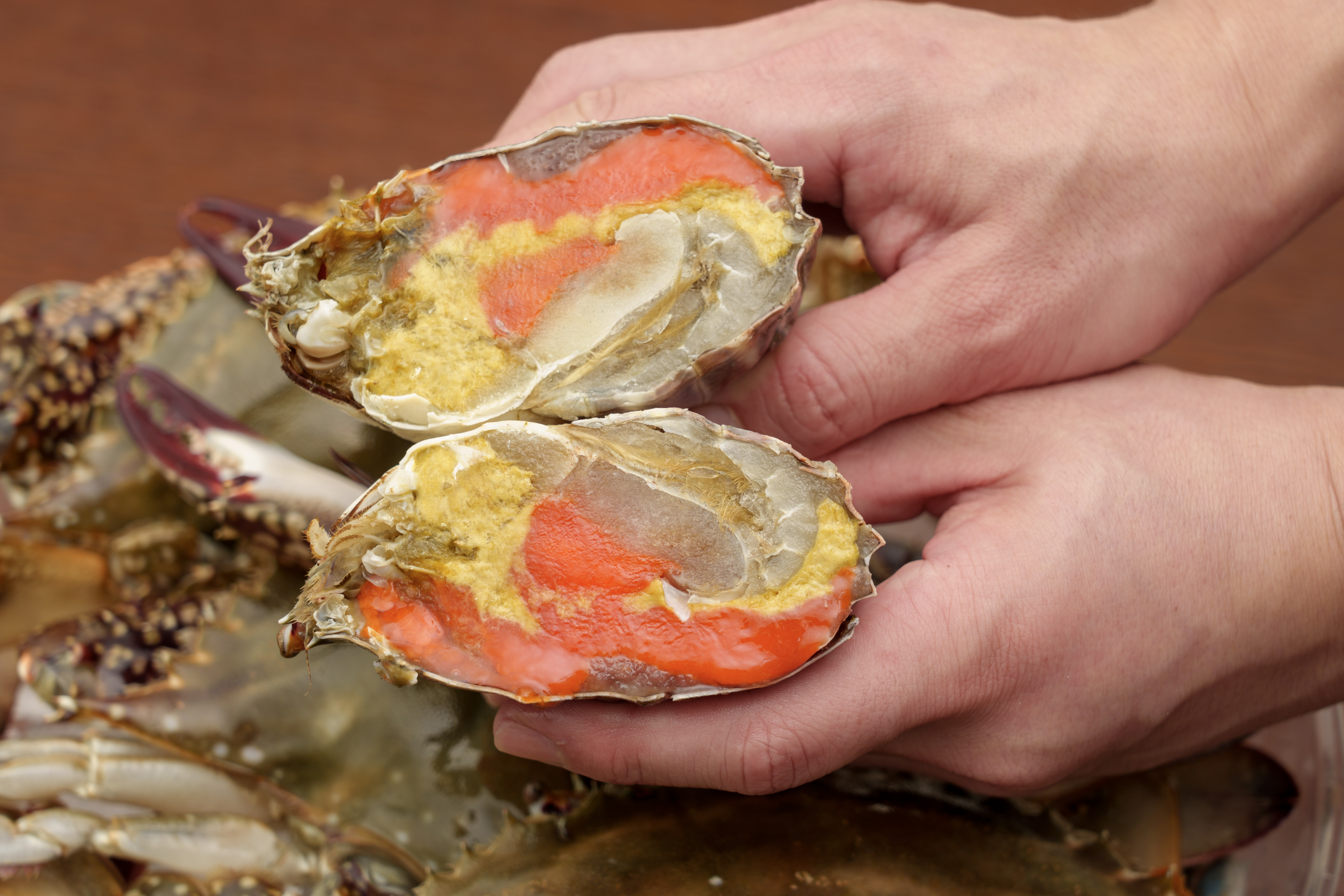 K꽃게 어부가 직접 판매하는 암꽃게 / 1kg 급냉