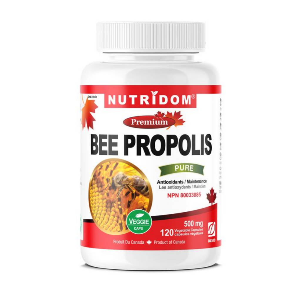 뉴트리돔 캐나다산 꿀벌 프로폴리스 500mg Bee Propolis 120캡슐, 2개 이미지 6
