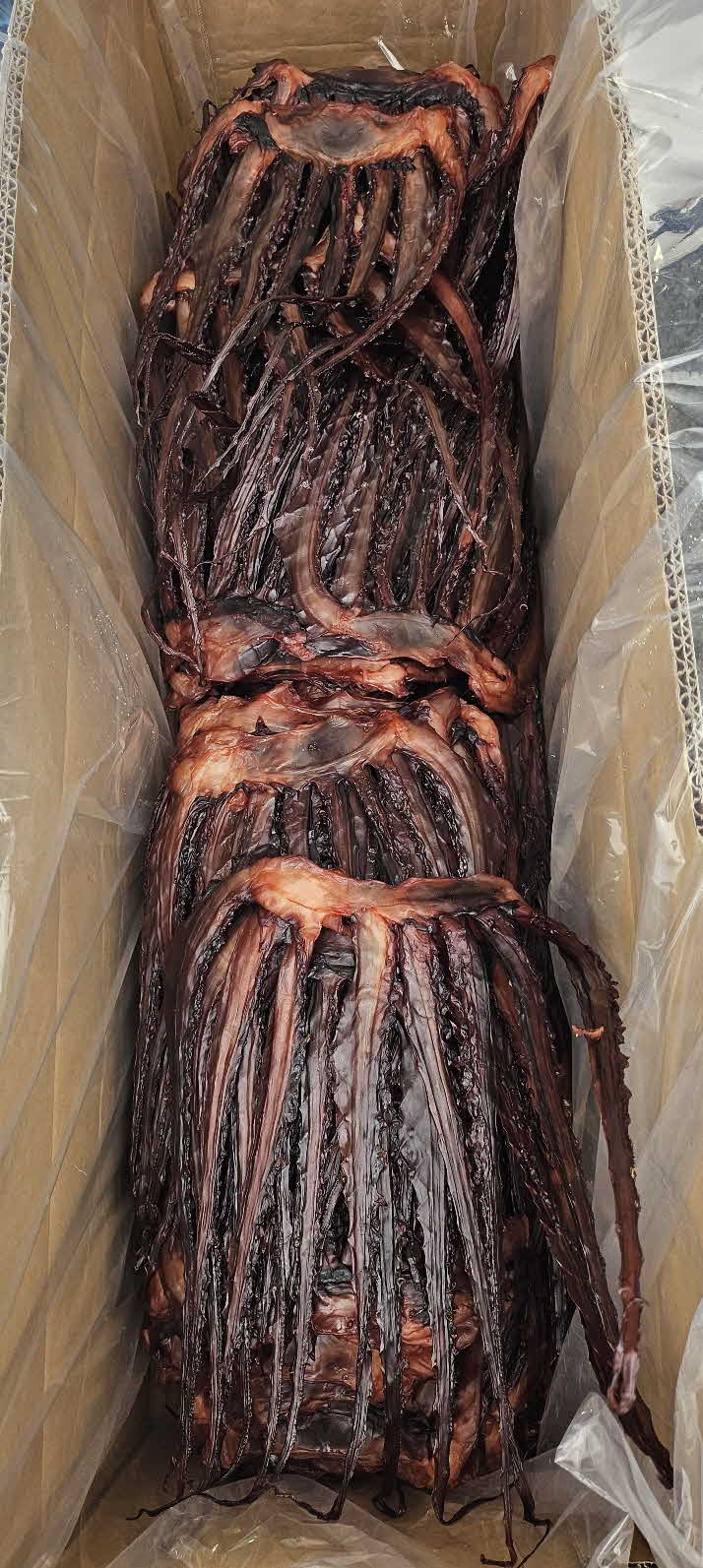 장족상회 쫀득 망족 130g 쫄깃 오징어 문어발 이미지 3