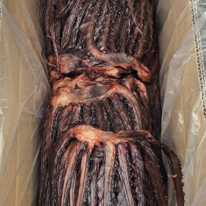 장족상회 쫀득 망족 130g 쫄깃 오징어 문어발 맛있게 먹은 솔직 후기 - 상품 이미지 3