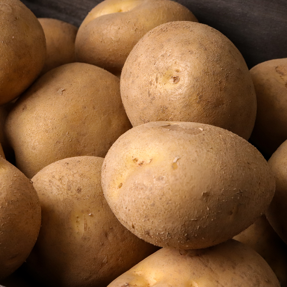 강원도 햇감자 수미감자 두백 홍감자 3kg 5kg