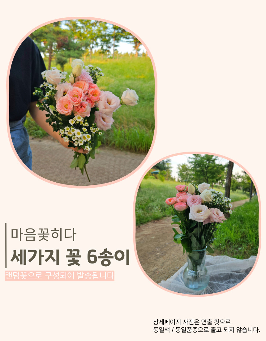 마음꽃히다 꽃만 담은 생화 꽃다발 두가지 세가지 구성 생일 기념일 꽃배달 이미지 6
