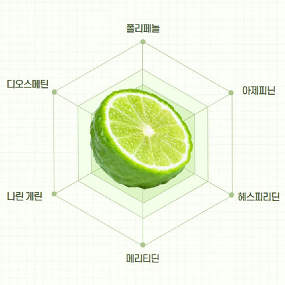 살므시 베르가못 폴리페놀 락토페린 모로오렌지 정 60정 4박스 8개월 레몬밤 C3G 고함량 - 상세 이미지 4
