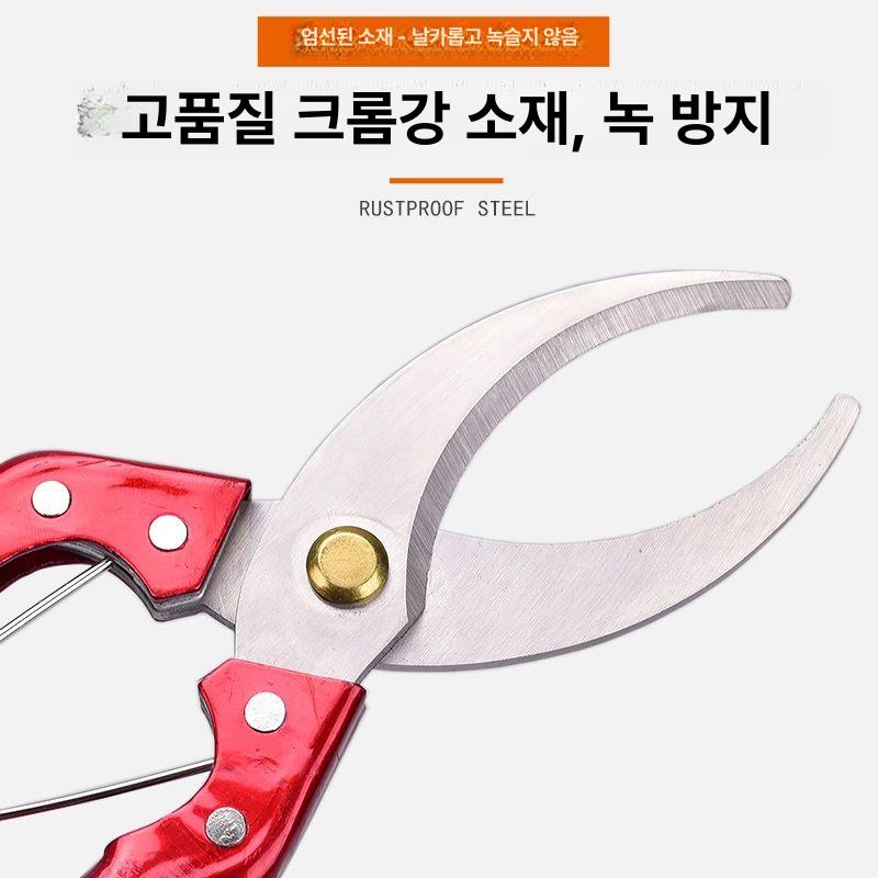 가위 원예용 정원 특수 자재 절단기 두꺼운 과일 관리 레드 링 벗기기 가위 대형 - 상세 이미지 3