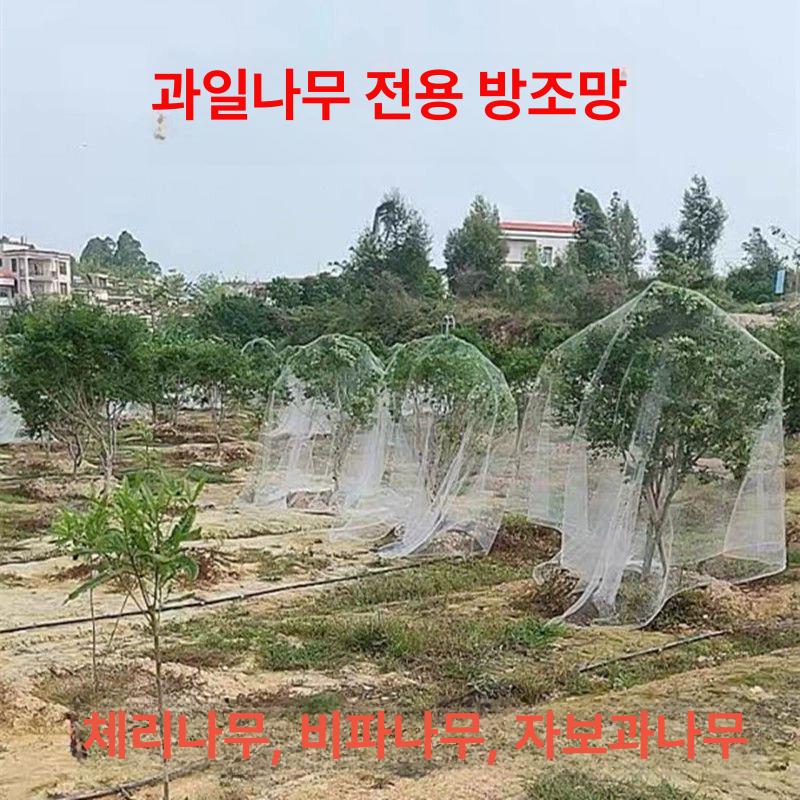 조류망 식물그물망 블루베리새망 농사용그물망 블루베리 10m 너비x10m 3m높이과일나무적합 - 상세 이미지 5