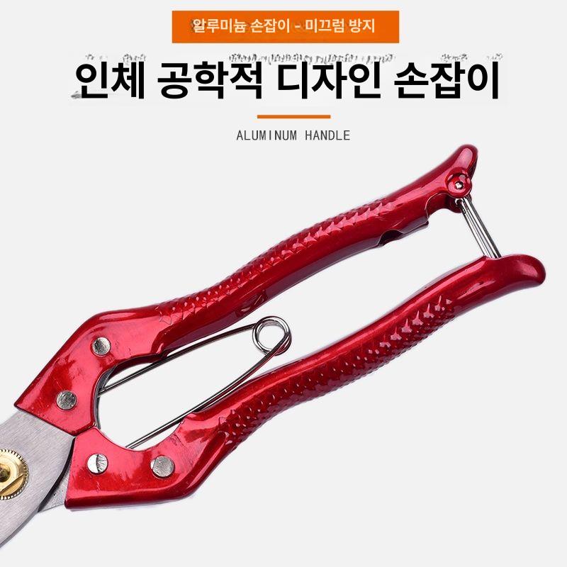 가위 원예용 정원 특수 자재 절단기 두꺼운 과일 관리 레드 링 벗기기 가위 대형 - 상세 이미지 5