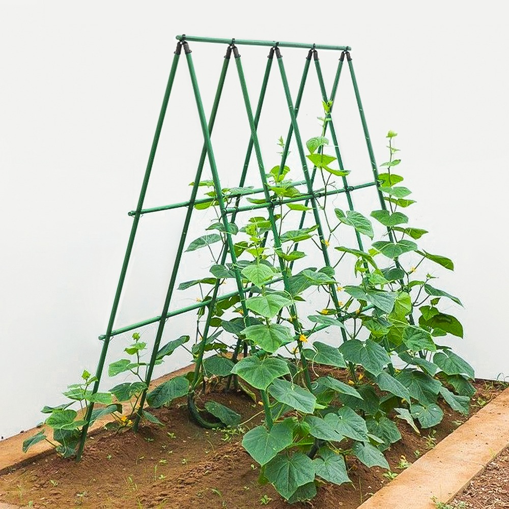 튼튼한 꽃 화초지지대 식물지주대 넝쿨 덩쿨식물 고추 오이 방울토마토 텃밭 화분지지대 모음전