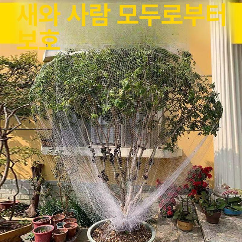 조류망 식물그물망 블루베리새망 농사용그물망 블루베리 10m 너비x10m 3m높이과일나무적합 - 상세 이미지 4