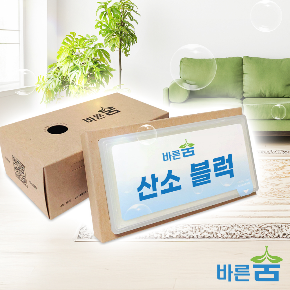 새집증후군 원인 포름알데히드 제거, 산소 발생, 이산화탄소 유해가스 제거 실내 공기정화제