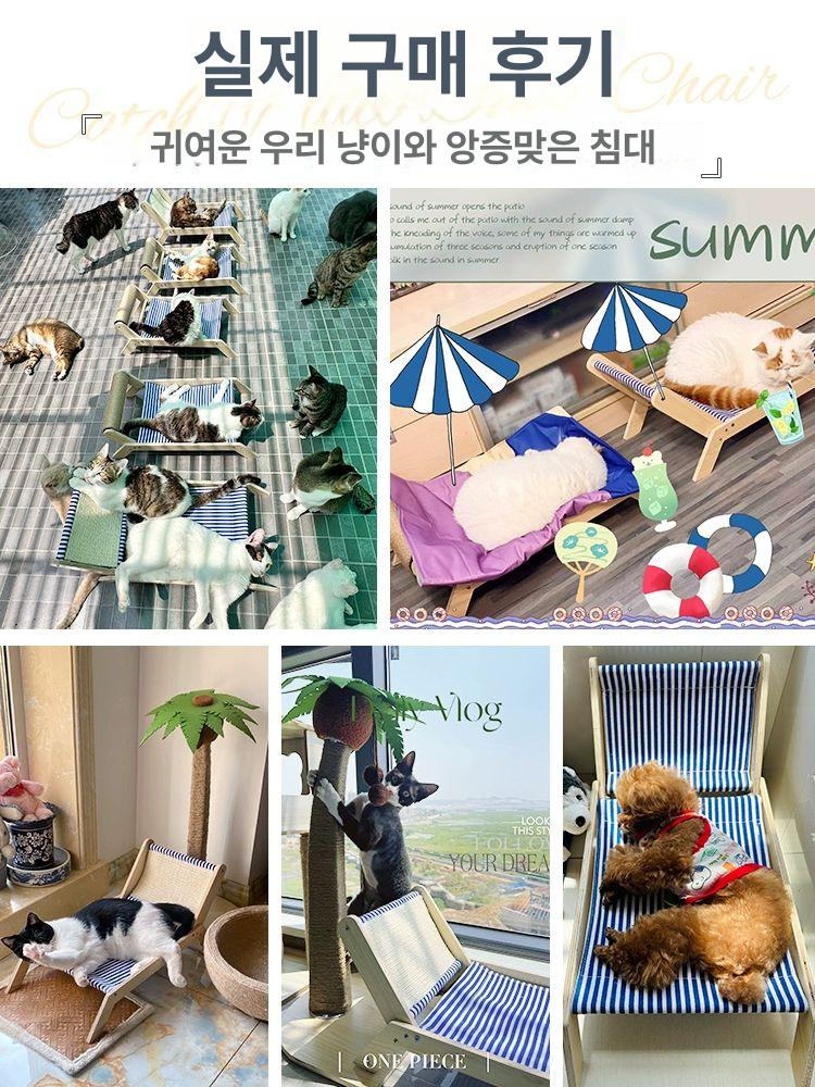동물 해먹 선인장 프레임 소파 점프 애완 등반 캣타워 업그레이드 추천 야자수 라운지 체어 긁는판 집 - 상세 이미지 3