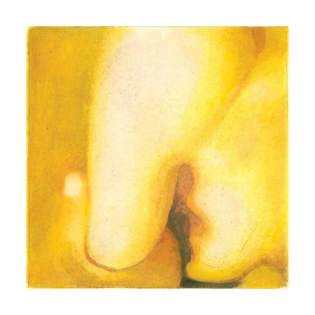 [해외](수입 LP) Smashing Pumpkins Pisces Iscariot [New Vinyl LP] 180 Gram