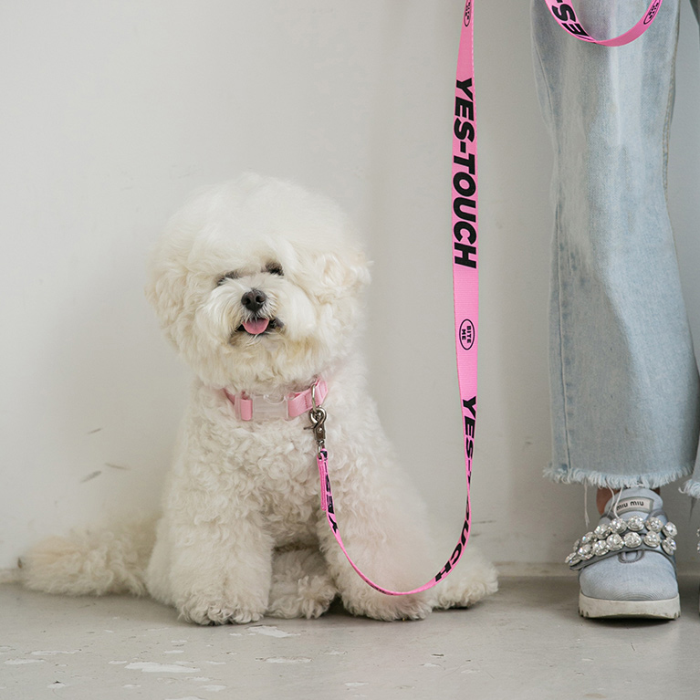 바잇미 만지지마세요 예뻐해주세요 메세지 와펜 강아지 리드줄 이미지 3