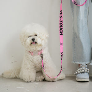 바잇미 만지지마세요 예뻐해주세요 메세지 와펜 강아지 리드줄 솔직 후기 | 실제 사용자 리뷰 총정리 - 상품 이미지 3