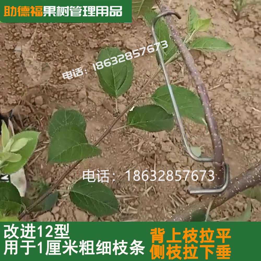 나무가지고정클립 묘목 식물 과일나무 장치 오이 철사 개량 18관형 1000 - 상세 이미지 3