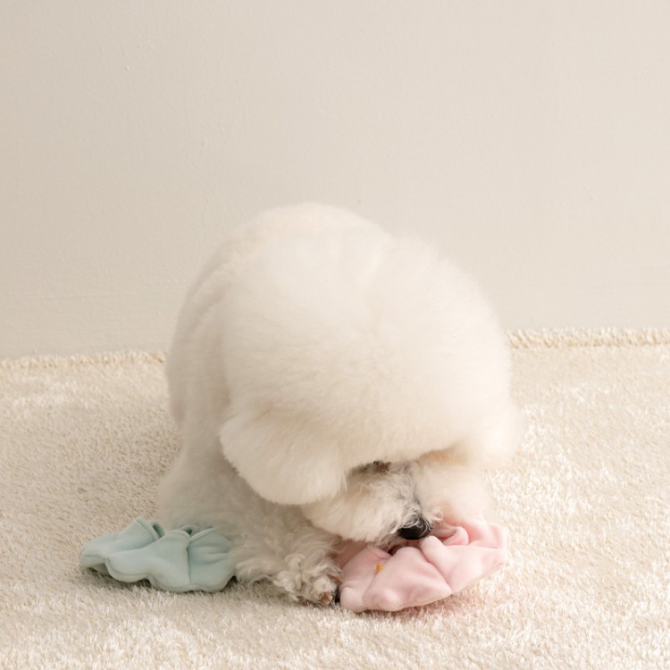 바잇미 오래 하는 노즈워크 넥카라 장난감 2개입 이미지 4