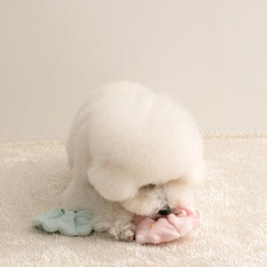 바잇미 오래 하는 노즈워크 넥카라 장난감 2개입 솔직 후기 | 실제 사용자 리뷰 총정리 - 상품 이미지 4