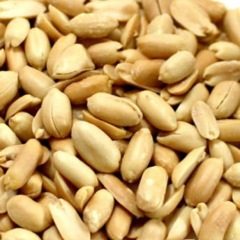 명식품본사 피너츠 대포장 볶음 알땅콩 깐땅콩 가정 업소 식당식자재 도매가 1kg, 10개 - 상세 이미지 2