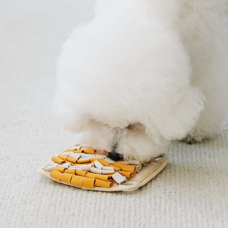 강아지 노즈워크 장난감 중대형 강아지 분리불안