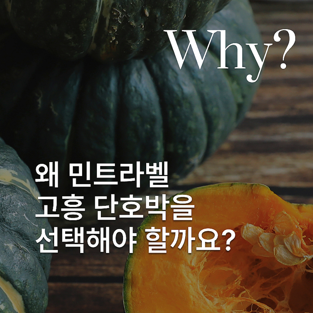 고흥 단호박 라떼 파우더 민트라벨 800g 이미지 7