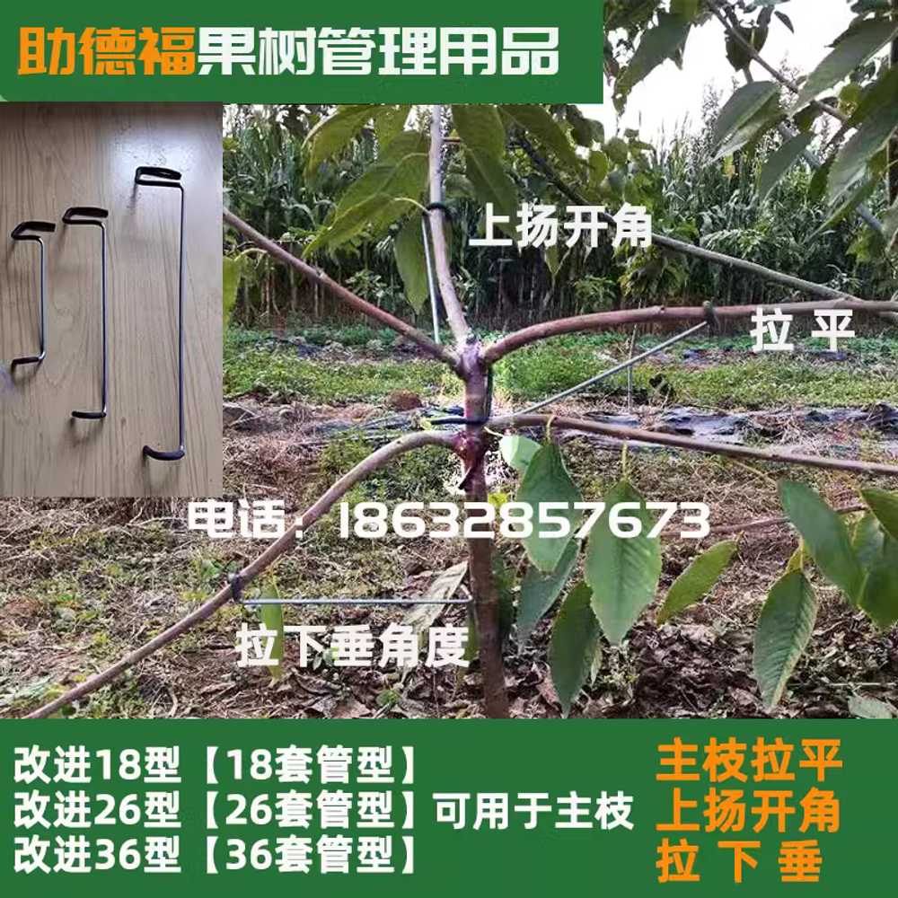 나무가지고정클립 묘목 식물 과일나무 장치 오이 철사 개량 18관형 1000 - 상세 이미지 2