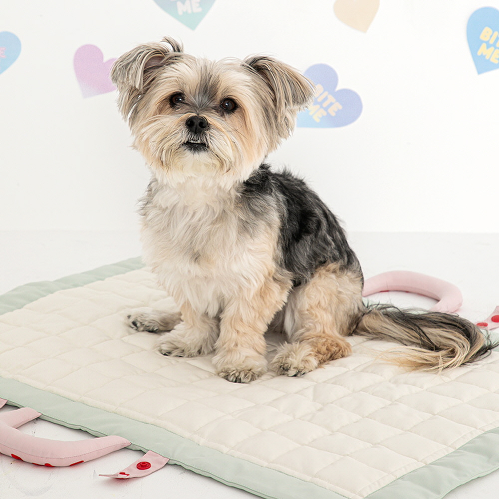 바잇미 컴팩트 소프트매트 강아지 반려동물 2colors